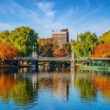 Boston Public Garden