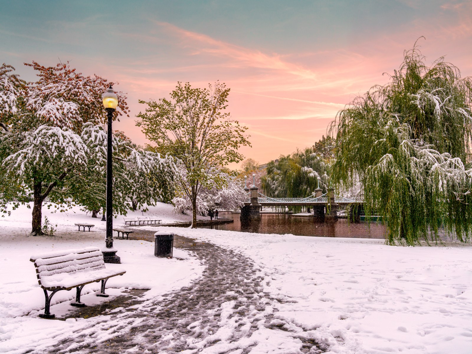 Boston Public Garden in Boston, Massachusetts (MA)