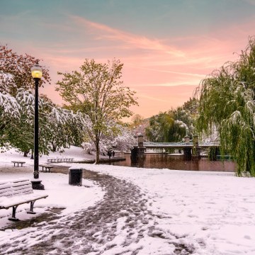 Boston Public Garden in Boston, Massachusetts (MA)
