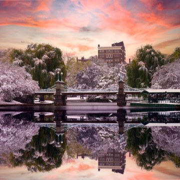 Boston Public Garden